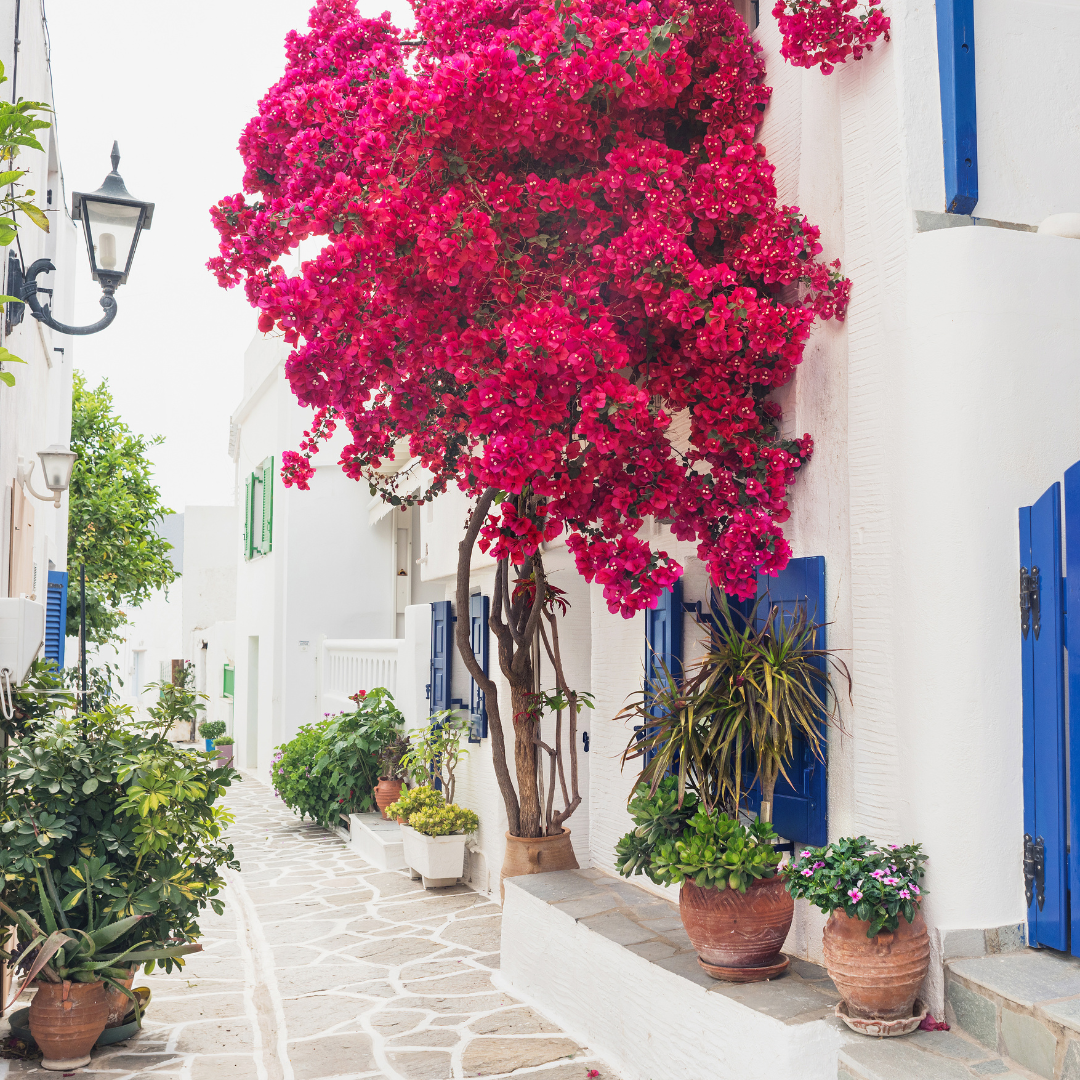 PAROS