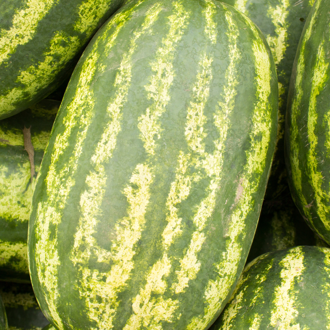 watermelon