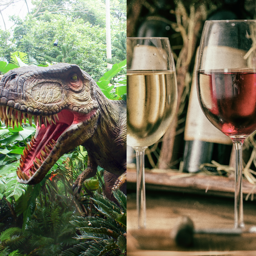 wine,dino