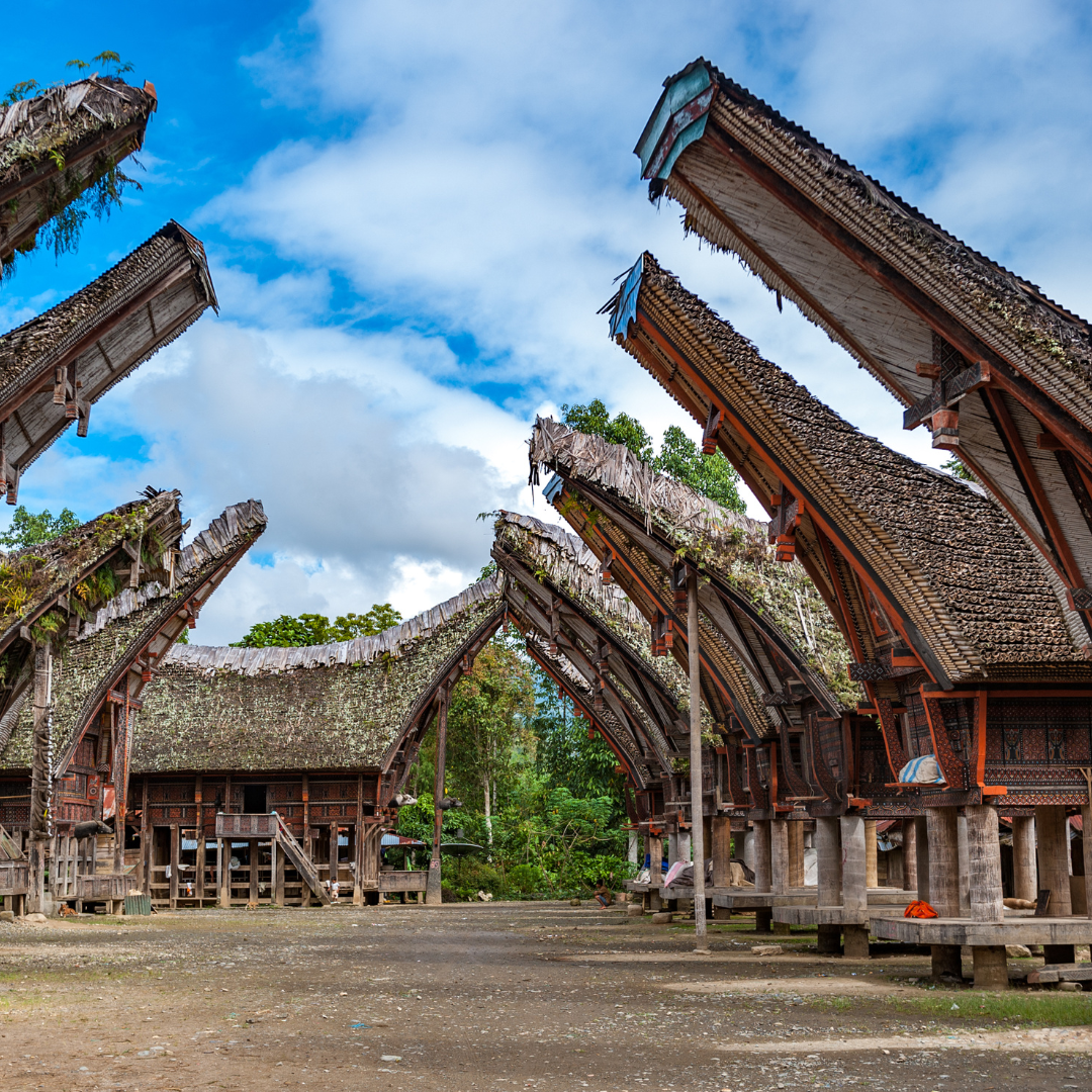 Sulawesi