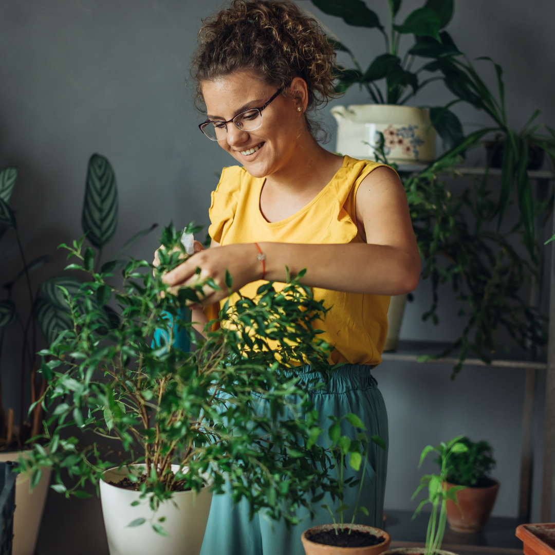 plant care